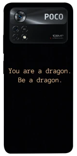Чехол на Xiaomi Poco X4 Pro 5G House of the Dragon ver.9 фото 1 из 1