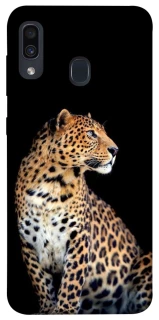 Чохол на Samsung Galaxy A20 / A30 Leopard v2 фото 1 з 1