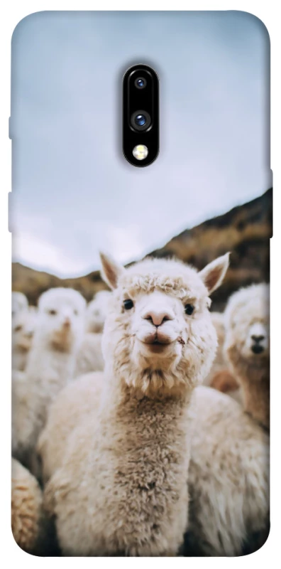 Чохол на OnePlus 7 Лама фото 1 з 1