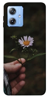 Чехол на Motorola Moto G84 Ромашка v4 фото 1 из 1