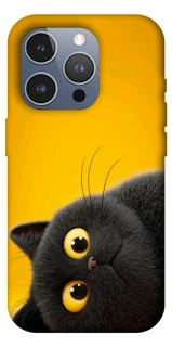 Чохол на Apple iPhone 16 Pro Max This is Cat фото 1 з 1
