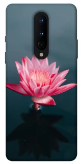 Чохол на OnePlus 8 Лотос фото 1 з 1