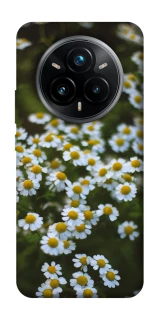 Чехол на Realme 14 Pro Ромашки v13 фото 1 из 1