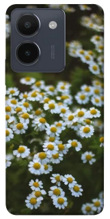 Чохол на Vivo Y36 Ромашки v13 фото 1 з 1