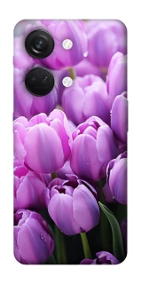 Чохол на OnePlus Nord 3 Фіолетові тюльпани фото 1 з 1