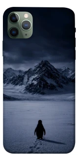 Чехол на Apple iPhone 11 Pro Max (6.5") But why? фото 1 из 1