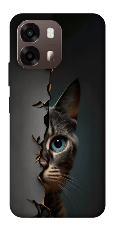 Чехол на Oppo A6 Кот-подглядыватель v2 фото 2 из 2