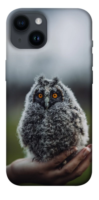 Чехол на Apple iPhone 14 (6.1") Совёнок фото 1 из 1