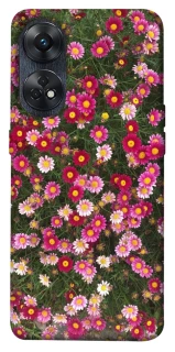 Чохол на Oppo Reno 8T 4G Flowers v8 фото 1 з 1