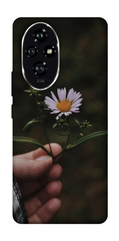Чохол на Honor 200 Ромашка v4 фото 1 з 1