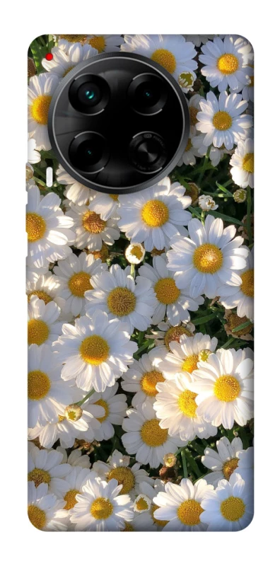 Чохол на TECNO Camon 30 (CL6) Поле ромашок фото 1 з 1