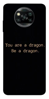 Чохол на Xiaomi Poco X3 NFC / Poco X3 Pro House of the Dragon ver.9 фото 1 з 1