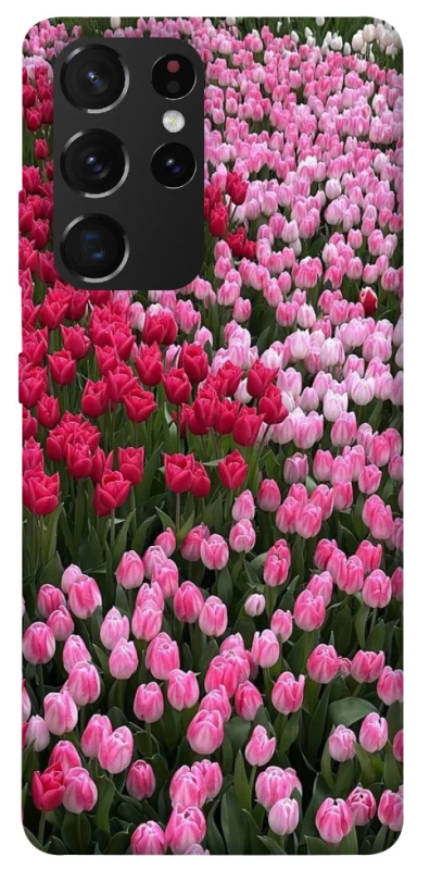 Чохол на Samsung Galaxy S21 Ultra Flowers v9 фото 1 з 1