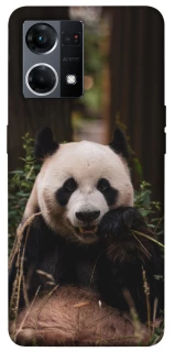 Чехол на Oppo Reno 7 4G Панда фото 1 из 1