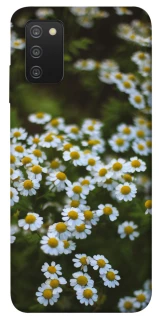 Чехол на Samsung Galaxy A03s Ромашки v13 фото 1 из 1