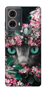 Чохол на Motorola Moto G85 Кіт в квітах фото 1 з 1