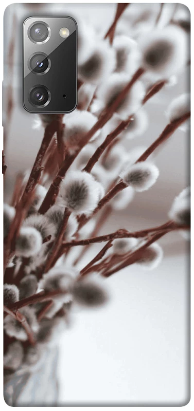 Чохол на Samsung Galaxy Note 20 Magic фото 1 з 1