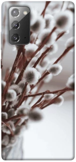 Чохол на Samsung Galaxy Note 20 Magic фото 1 з 1