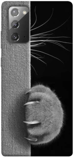 Чохол на Samsung Galaxy Note 20 Spy Cat фото 1 з 1