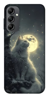 Чохол на Samsung Galaxy A14 4G/5G Кіт під місяцем фото 1 з 1