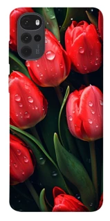 Чохол на Motorola Moto G22 Червоні тюльпани фото 1 Чохол на Motorola Moto G22 Червоні тюльпани фото 1 з 1