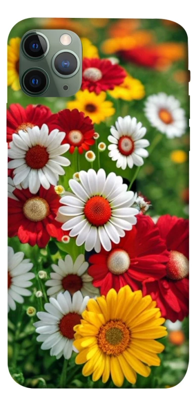 Чохол на Apple iPhone 11 Pro Max (6.5") Flowers v11 фото 1 з 1