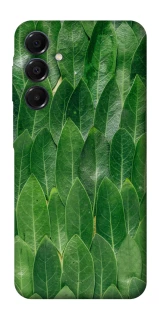 Чехол на Samsung Galaxy A16 4G/5G Листья фото 1 из 1