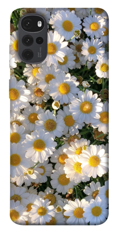 Чехол на Motorola Moto G22 Поле ромашек фото 1 из 1