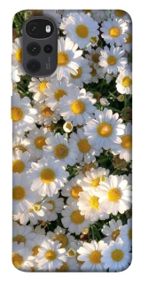 Чехол на Motorola Moto G22 Поле ромашек фото 1 из 1