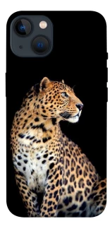 Чохол на Apple iPhone 13 (6.1") Leopard v2 фото 1 з 1