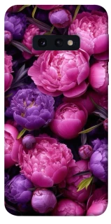 Чохол на Samsung Galaxy S10e Garden2 фото 1 з 1