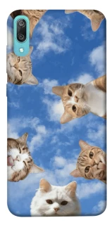 Чохол на Huawei Y6 Pro (2019) Сats фото 1 з 1