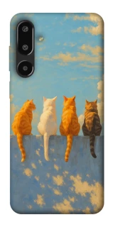 Чехол на Samsung Galaxy F16 cats on wall фото 1 Чехол на Samsung Galaxy F16 cats on wall фото 1 из 1