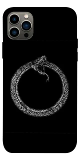Чохол на Apple iPhone 12 Pro (6.1") Ouroboros фото 1 з 1