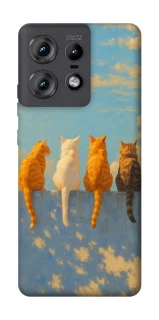 Чехол на Motorola Edge 50 Pro cats on wall фото 1 Чехол на Motorola Edge 50 Pro cats on wall фото 1 из 1