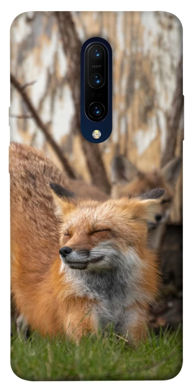 Чохол на OnePlus 7 Pro Лисиця фото 1 з 1