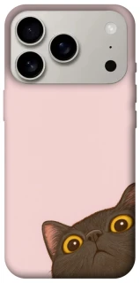 Чехол на Apple iPhone 17 Pro (6.3") Peeping cat фото 1 Чехол на Apple iPhone 17 Pro (6.3") Peeping cat фото 1 из 1