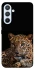 Чохол на Samsung Galaxy A54 5G Leopard v4 фото 1 з 1