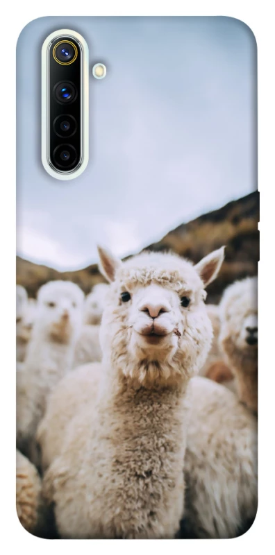 Чехол на Realme 6 Лама фото 1 из 1