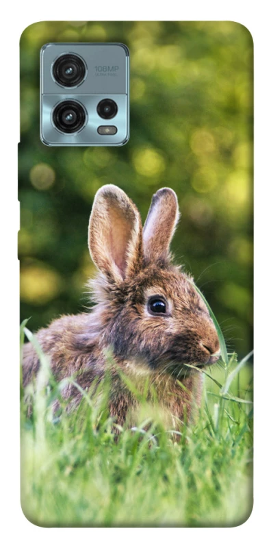 Чохол на Motorola Moto G72 Кролики фото 1 з 1