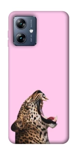 Чехол на Motorola Moto G54 Power Leopard Meow фото 1 из 1