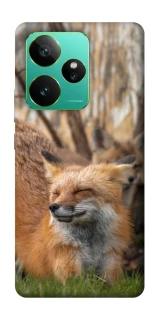 Чехол на Realme GT 7 Лиса фото 1 из 1