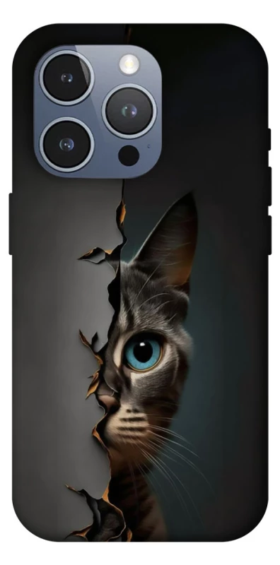 Чехол на Apple iPhone 16 Pro Max Кот-подглядыватель v2 фото 1 из 1