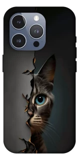 Чехол на Apple iPhone 16 Pro Max Кот-подглядыватель v2 фото 1 из 1