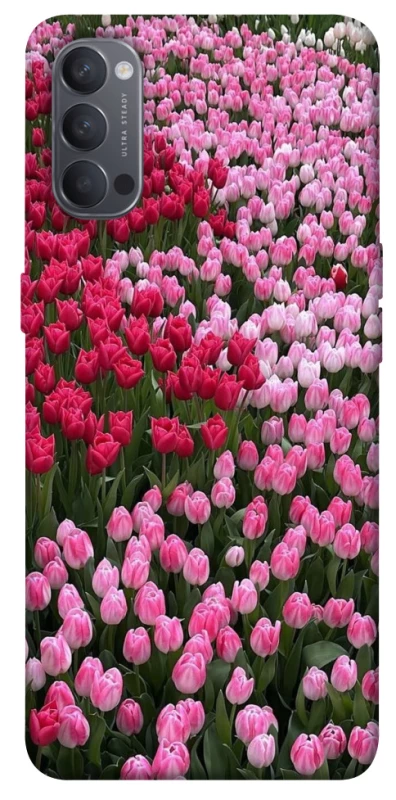 Чехол на Oppo Reno 4 Flowers v9 фото 1 из 1