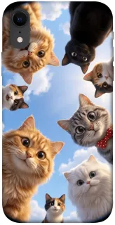 Чехол на Apple iPhone XR (6.1") Cats фото 1 из 1