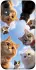 Чохол на Apple iPhone XR (6.1") Cats фото 1 з 1