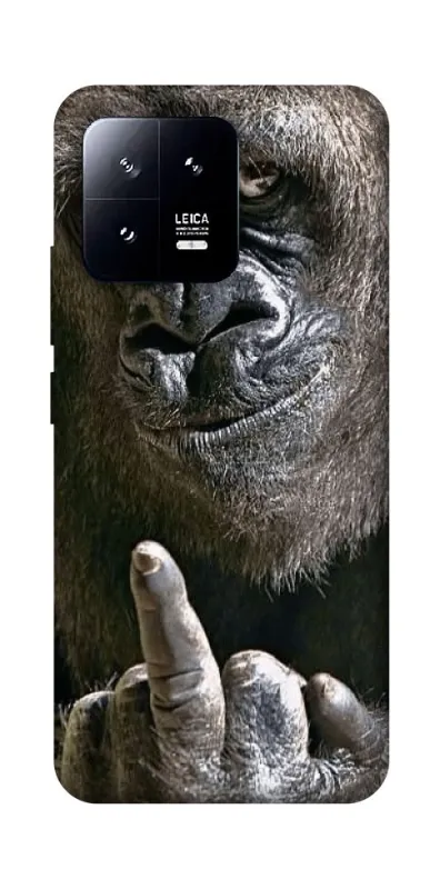 Чехол на Xiaomi 13 Surprise фото 1 из 1