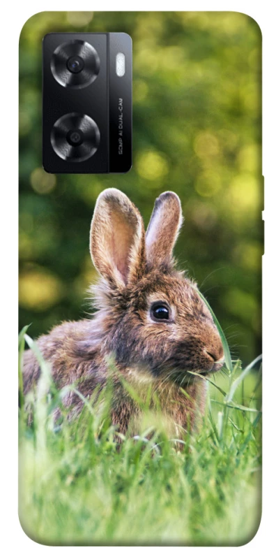 Чехол на Oppo A77s Кролики фото 1 из 1