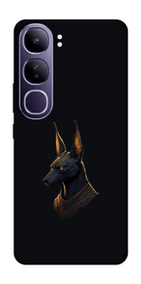 Чохол на Vivo Y300 Anubis фото 1 з 1